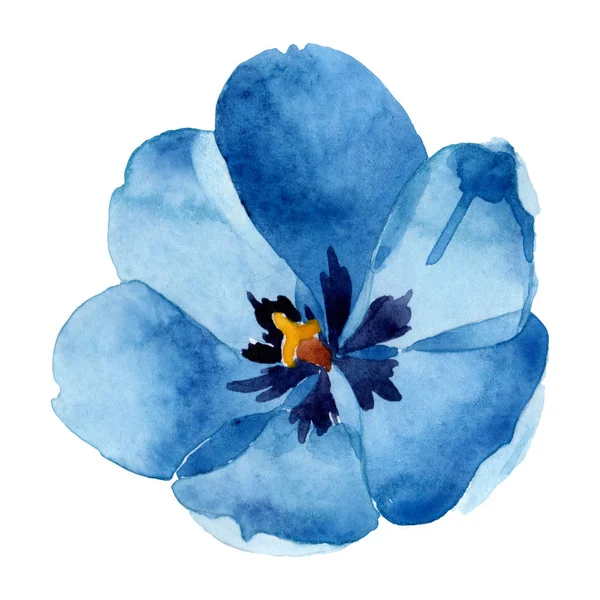 青いチューリップの花の植物の花。●水彩背景イラストセット。分離されたチューリップイラスト要素. — ストック写真