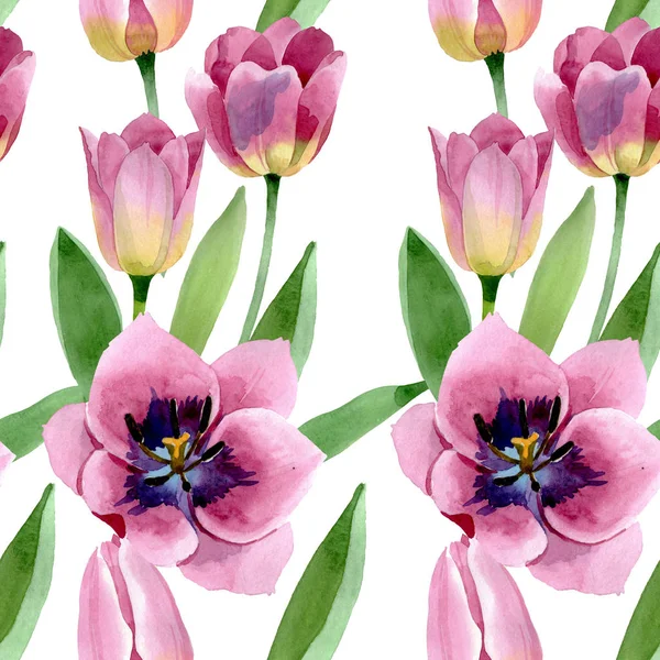 핑크 튤립 꽃 식물 꽃입니다. 수채화 배경 일러스트 세트입니다. 원활한 배경 패턴. — 스톡 사진