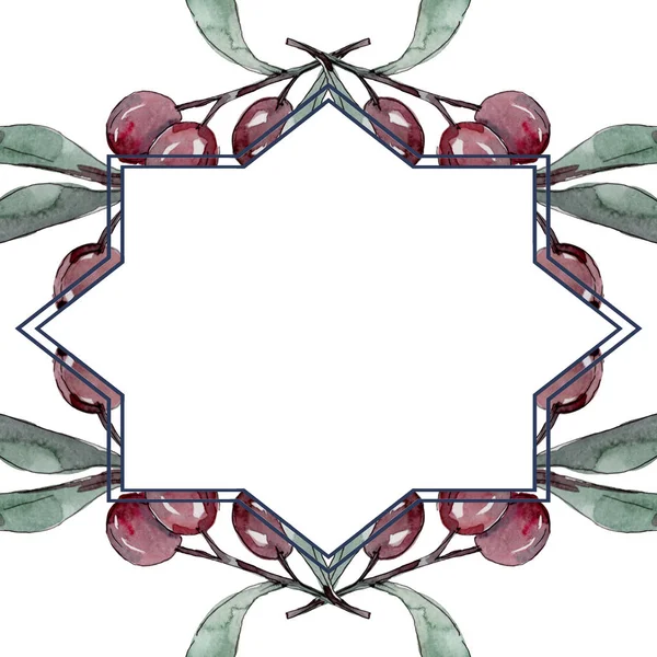 Olivkvist med svart och grön frukt. Akvarell bakgrund illustration uppsättning. Ram kant prydnad kvadrat. — Stockfoto