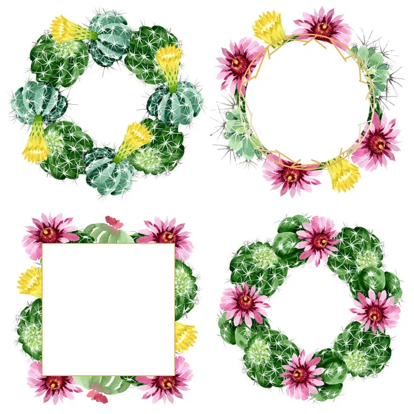 Cacto verde flores botânicas florais. Conjunto de ilustração de fundo aquarela. Quadro borda ornamento quadrado . — Fotografia de Stock