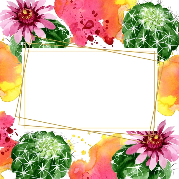 Grön kaktus blommiga botaniska blommor. Akvarell bakgrund illustration uppsättning. Ram kant prydnad kvadrat. — Stockfoto