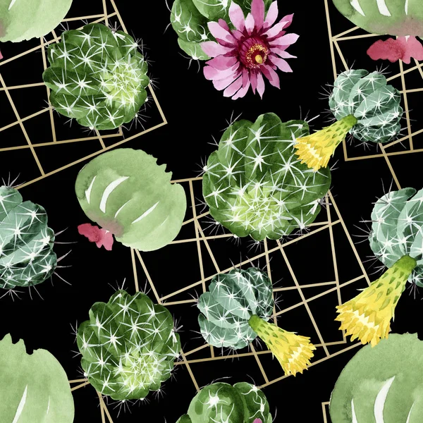 Flores botánicas florales de cactus verde. Conjunto de ilustración de fondo acuarela. Patrón de fondo sin costuras . — Foto de Stock