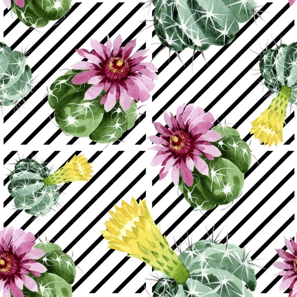 Grön kaktus blommiga botaniska blommor. Akvarell bakgrund illustration uppsättning. Sömlöst bakgrundsmönster. — Stockfoto