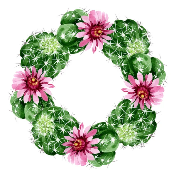 Zielony kaktus kwiatowy kwiatów botanicznych. Akwarela zestaw ilustracji tła. Obramowanie ramy ornament kwadrat. — Zdjęcie stockowe