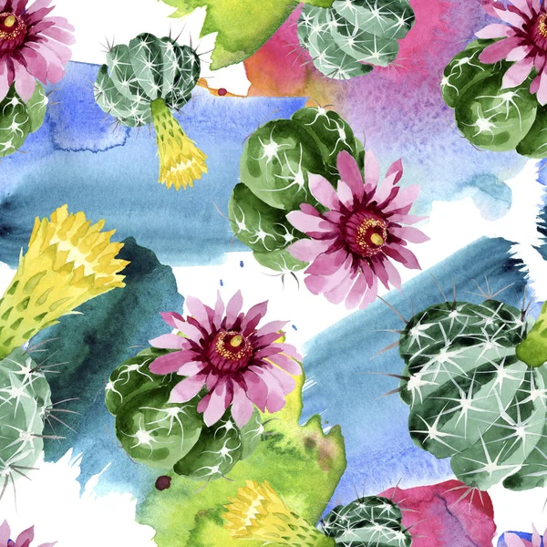 Fleurs botaniques florales de cactus vert. Ensemble d'illustration de fond aquarelle. Modèle de fond sans couture . — Photo