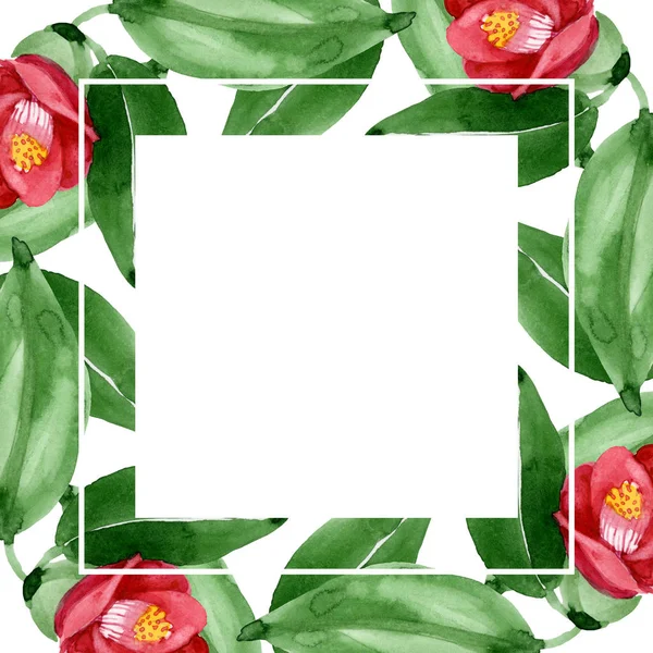 ดอกคาเมเลียสีแดง ดอกไม้พฤกษศาสตร์ ชุดภาพประกอบพื้นหลังสีน้ํา สี่เหลี่ยมเครื่องประดับขอบกรอบ . — ภาพถ่ายสต็อก