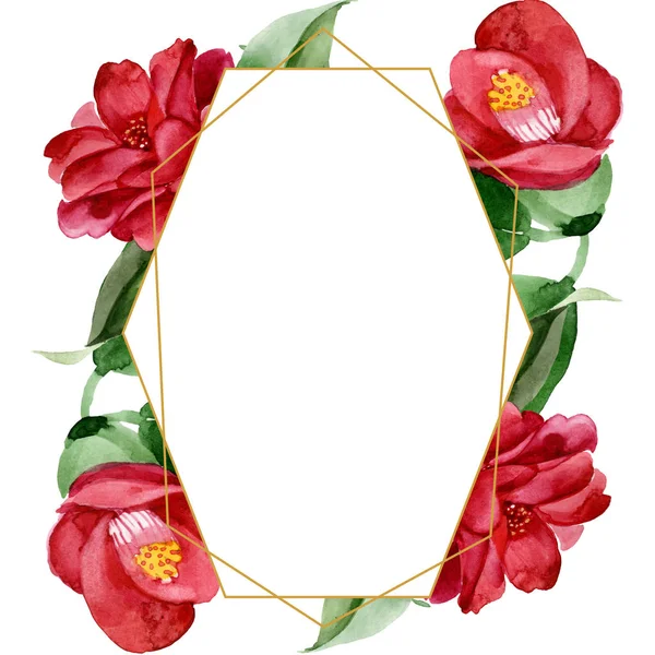 Flor botánica floral camelia roja. Conjunto de ilustración de fondo acuarela. Marco borde ornamento cuadrado . —  Fotos de Stock