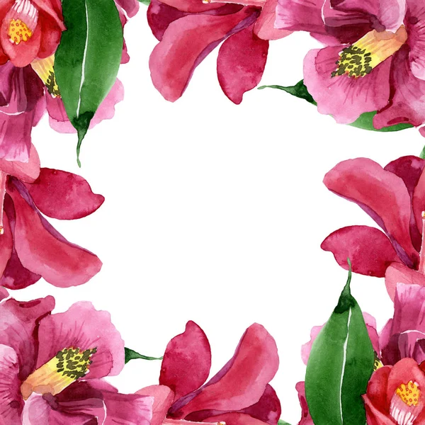 Camelia rossa fiore botanico floreale. Acquerello sfondo illustrazione set. Quadrato ornamento bordo cornice . — Foto Stock