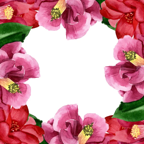 Czerwony Camelia kwiatowy kwiat botaniczny. Akwarela zestaw ilustracji tła. Obramowanie ramy ornament kwadrat. — Zdjęcie stockowe