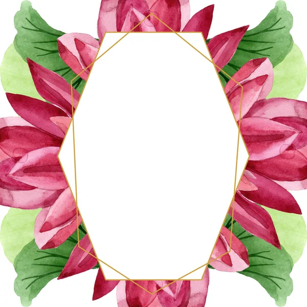 Flor botánica floral de loto rojo. Conjunto de ilustración de fondo acuarela. Marco borde ornamento cuadrado . —  Fotos de Stock