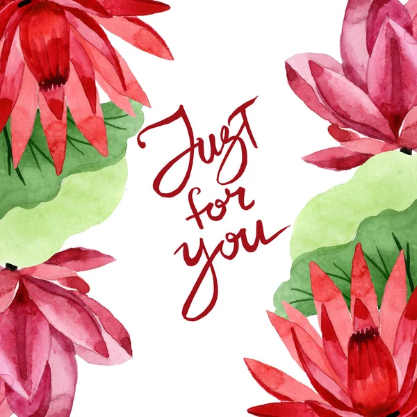 Red lotus floral botanical flower. Watercolor background illustration set. Frame border ornament square. — Stock Photo, Image