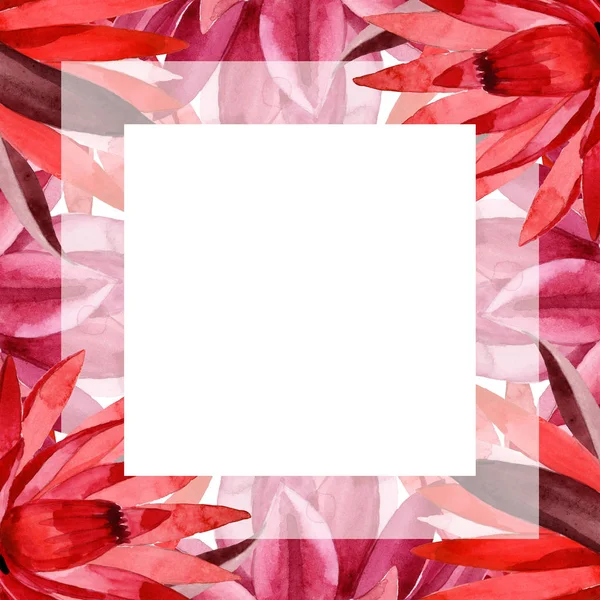 Czerwony Lotos kwiatowy kwiat botaniczny. Akwarela zestaw ilustracji tła. Obramowanie ramy ornament kwadrat. — Zdjęcie stockowe