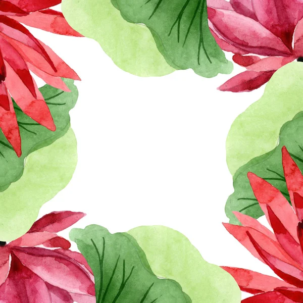 Fiore botanico floreale di loto rosso. Acquerello sfondo illustrazione set. Quadrato ornamento bordo cornice . — Foto Stock