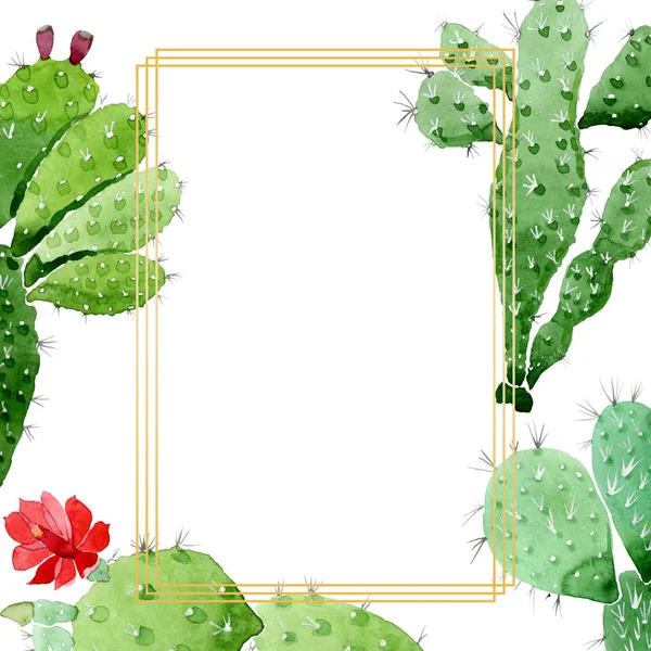 Flores botánicas florales de cactus verde. Conjunto de ilustración de fondo acuarela. Marco borde ornamento cuadrado . —  Fotos de Stock