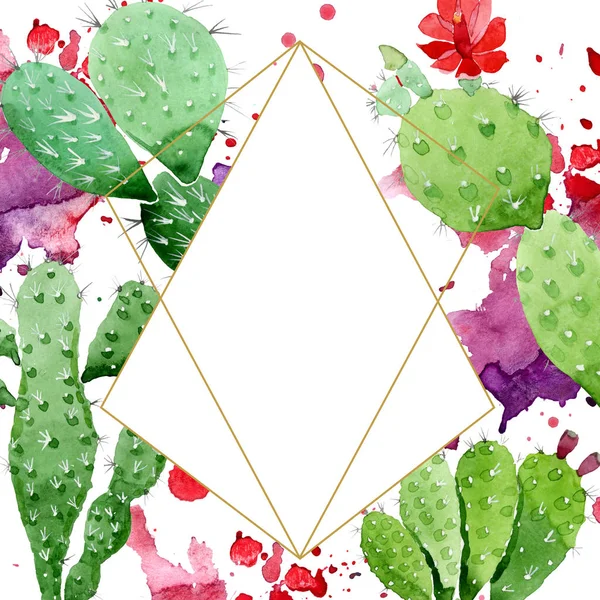 Green cactus floral botanical flowers. Watercolor background illustration set. Frame border ornament square. — Stock Photo, Image