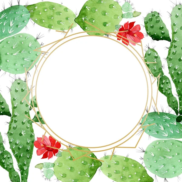 Green cactus floral botanical flowers. Watercolor background illustration set. Frame border ornament square. — Stock Photo, Image