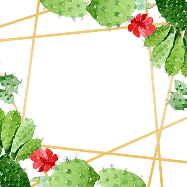 Green cactus floral botanical flowers. Watercolor background illustration set. Frame border ornament square. — Stock Photo, Image