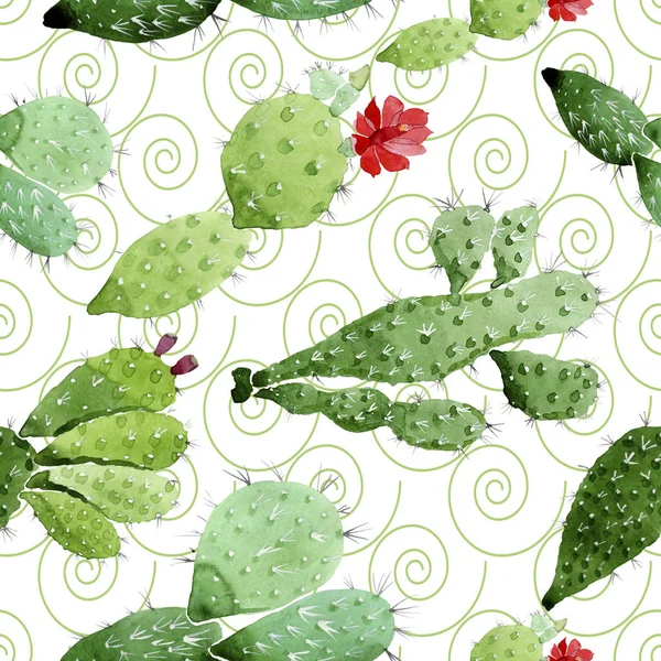 Green cactus floral botanical flowers. Watercolor background illustration set. Seamless background pattern. — Stock Photo, Image