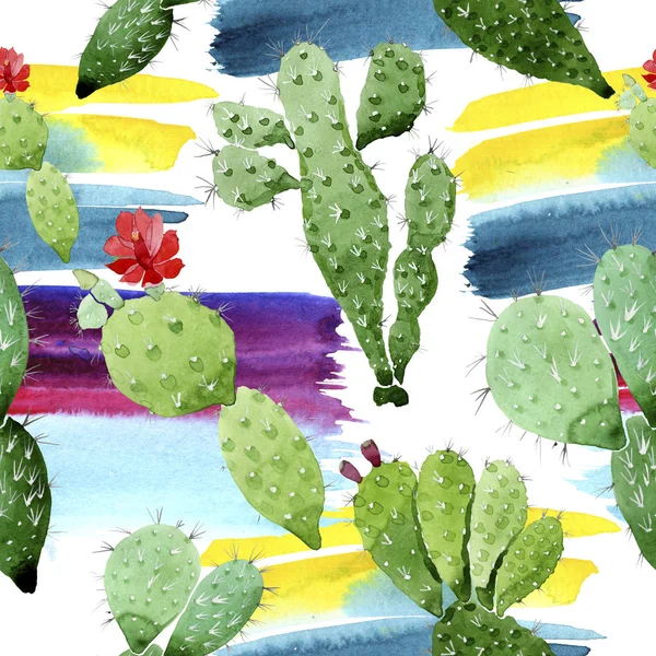 緑のサボテンの花の植物の花。●水彩背景イラストセット。シームレスな背景パターン. — ストック写真