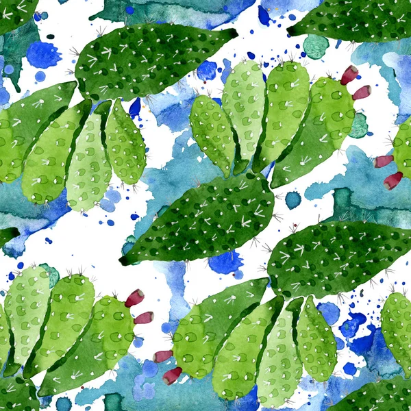 녹색 선인장 꽃 식물 꽃입니다. 수채화 배경 일러스트 세트입니다. 원활한 배경 패턴. — 스톡 사진