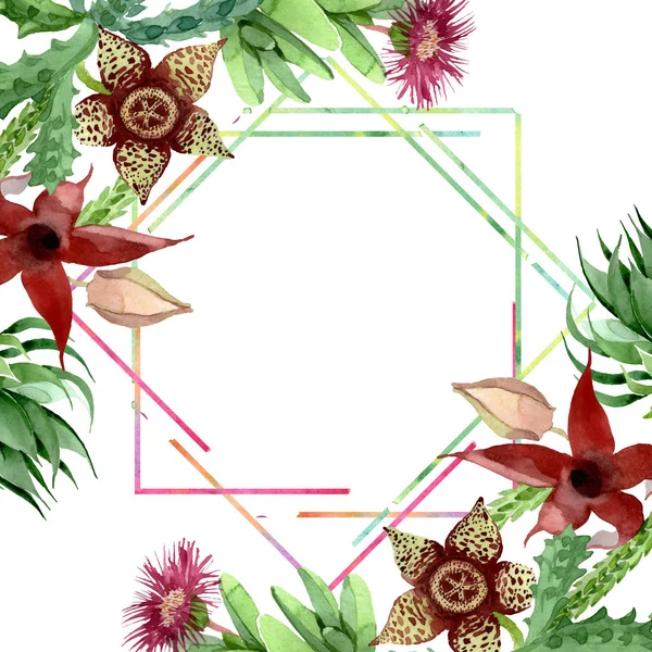 Flor botánica floral de cactus verde. Conjunto de ilustración de fondo acuarela. Marco borde ornamento cuadrado . — Foto de Stock