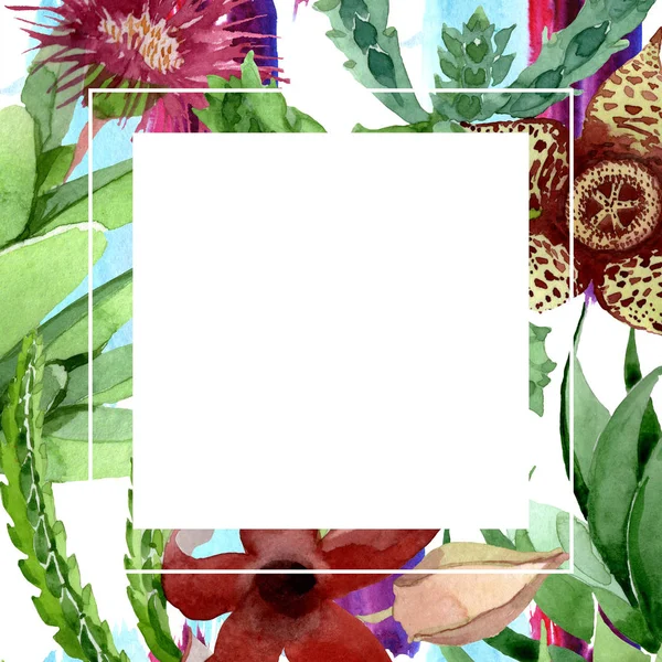 Πράσινο λουλούδι λουλουδιών κάκτου. Σύνολο εικονογράφησης φόντου. Κορνίζα περίγραμμα στολίδι τετράγωνο. — Φωτογραφία Αρχείου