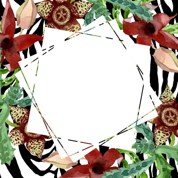 Green cactus floral botanical flower. Watercolor background illustration set. Frame border ornament square. — Stock Photo, Image