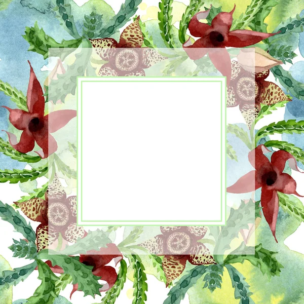 Flor botánica floral de cactus verde. Conjunto de ilustración de fondo acuarela. Marco borde ornamento cuadrado . — Foto de Stock