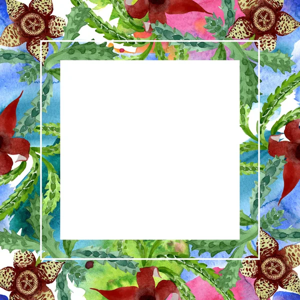 Grön kaktus blommig botanisk blomma. Akvarell bakgrund illustration uppsättning. Ram kant prydnad kvadrat. — Stockfoto