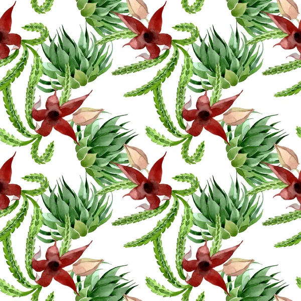 Yeşil kaktüs çiçek botanik çiçek. Suluboya arka plan illüstrasyon seti. Kesintisiz arka plan deseni.