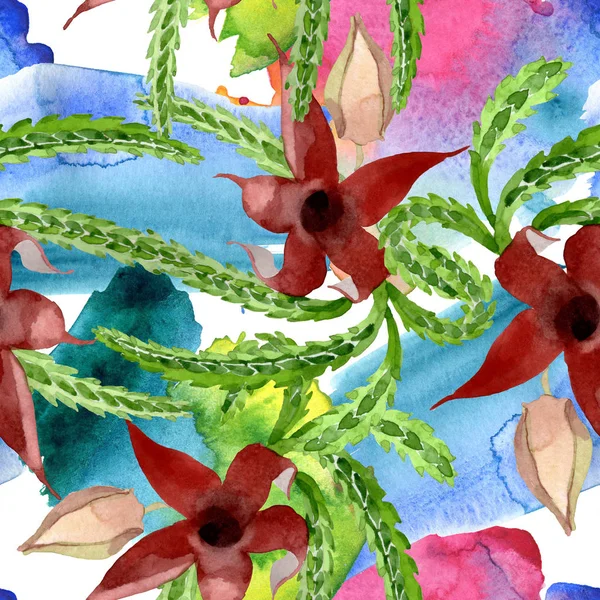 Fleurs botaniques florales de cactus vert. Ensemble d'illustration de fond aquarelle. Modèle de fond sans couture . — Photo