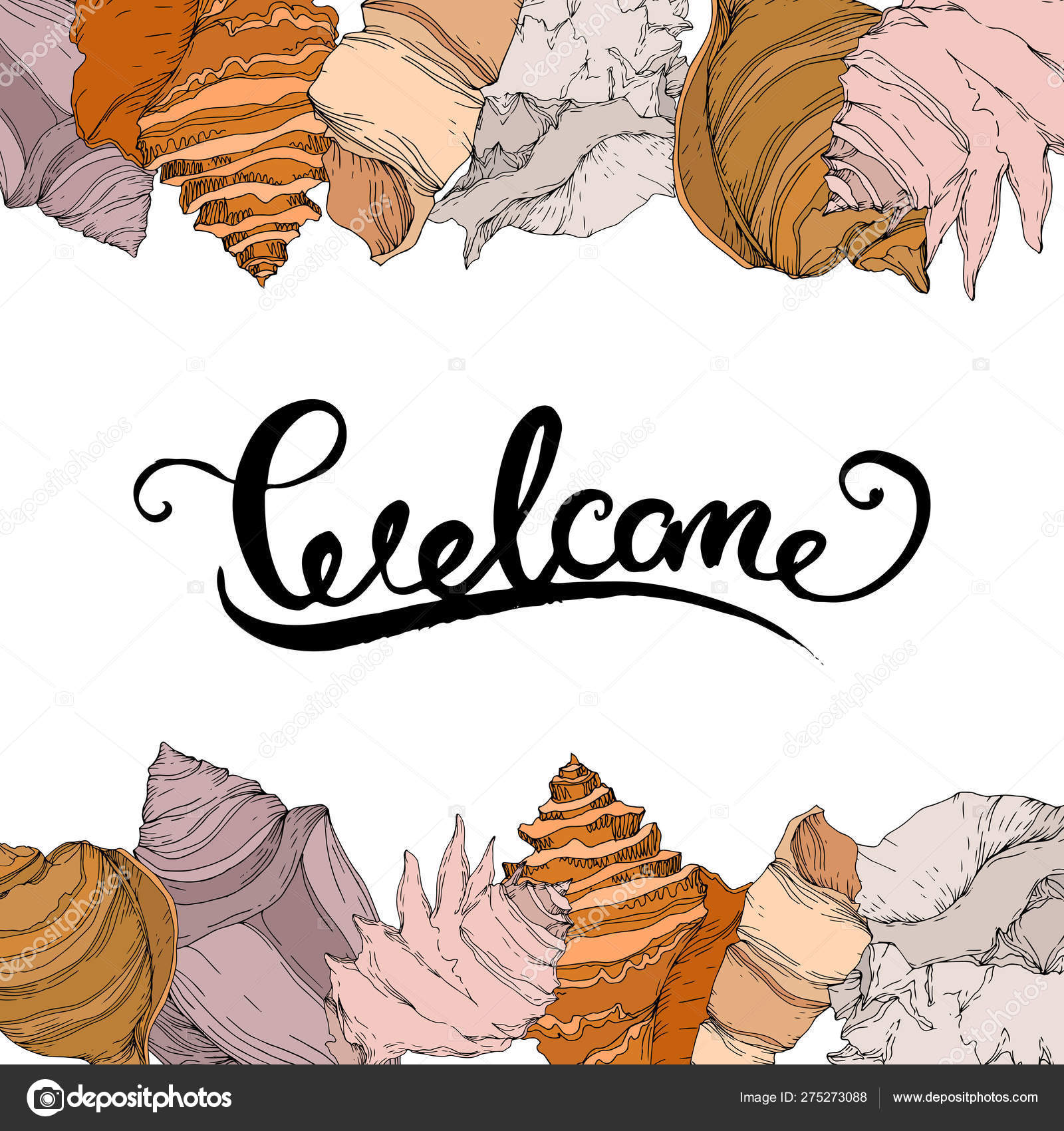 summer beach seashell tropical elements black and white summer border black and white