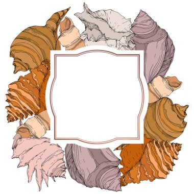 Summer beach seashell tropical elements. Black and white engraved ink art. Frame border ornament square. clipart