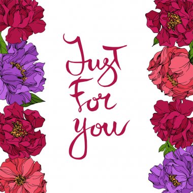 Şakayık çiçekbotanik çiçekleri. Yabani bahar yaprağı kır çiçeği. Oyulmuş mürekkep sanatı. Çerçeve kenarlık süs karesi.