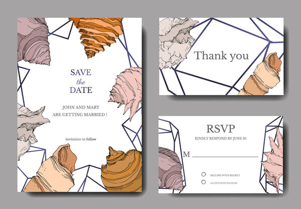 Summer beach seashell tropical elements. Engraved ink art. Wedding background card decorative border.