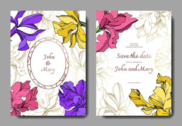 Iris florale botanische Blumen. Schwarz-weiß gestochene Tuschekunst. Hochzeit Hintergrund Karte Blumen dekorative Grenze. — Stockvektor