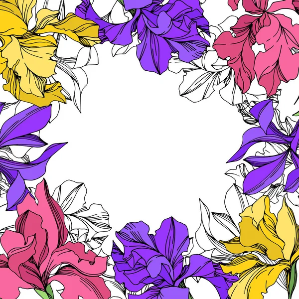 Iris floral botanical flowers. Watercolor background illustration set. Frame border ornament square. — Stock Vector
