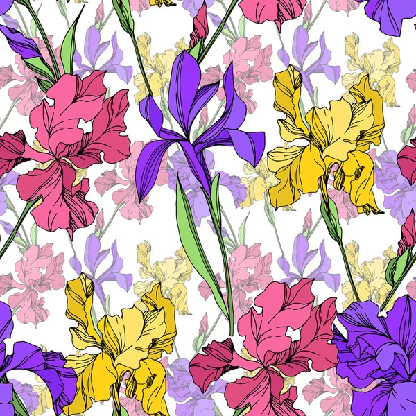 Iris flores botánicas florales. Tinta grabada en blanco y negro. Patrón de fondo sin costuras . — Vector de stock