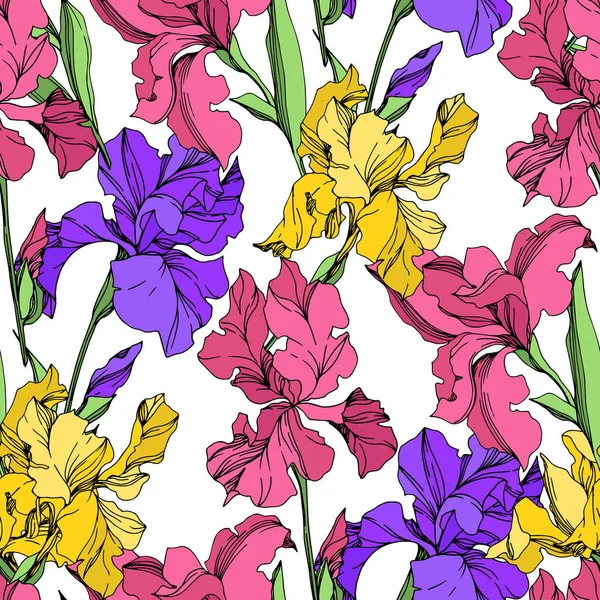 Iris flori florale botanice. Artă de cerneală gravată alb-negru. Model de fundal fără sudură . — Vector de stoc