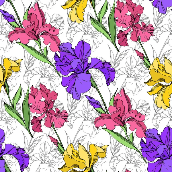 Iris flores botánicas florales. Tinta grabada en blanco y negro. Patrón de fondo sin costuras . — Archivo Imágenes Vectoriales