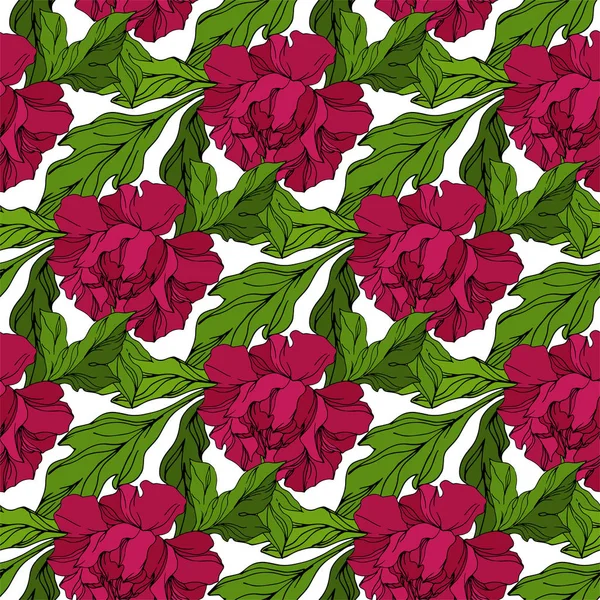 Peonía flores botánicas florales. Flor silvestre de hoja de primavera aislada. Arte de tinta grabada. Patrón de fondo sin costuras . — Vector de stock