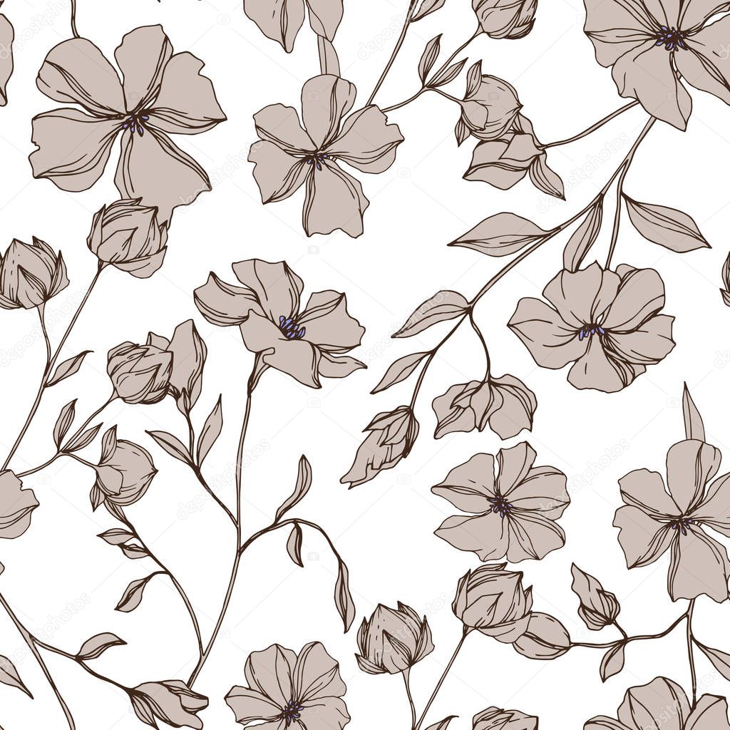Vector Flax floral botanical flowers. Gray engraved ink art. Seamless background pattern.