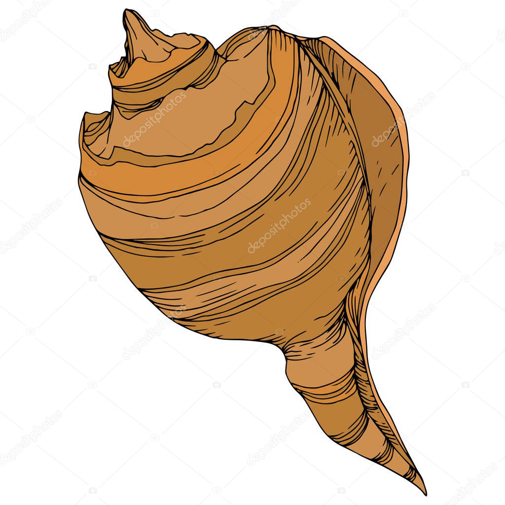 AndreYanush