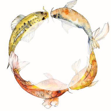 Suluboya su altı tropikal balık seti. Kızıldeniz ve egzotik balıklar içinde: Goldfish. Çerçeve kenar lığı karesi.
