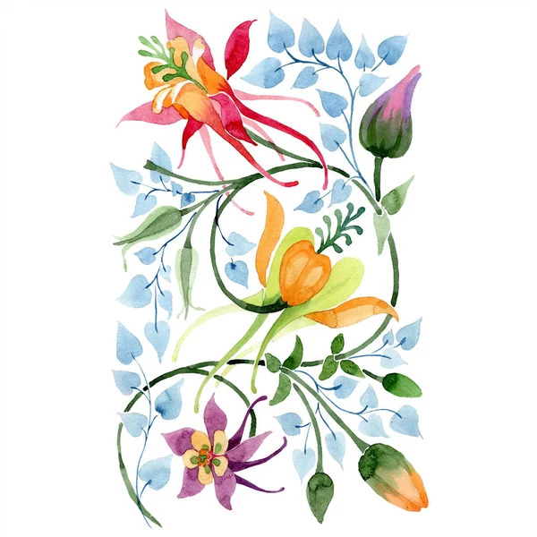 Prydnad Blommig Botanisk Blomma Wild Spring Leaf Wildflower Isolerad Akvarell — Stockfoto