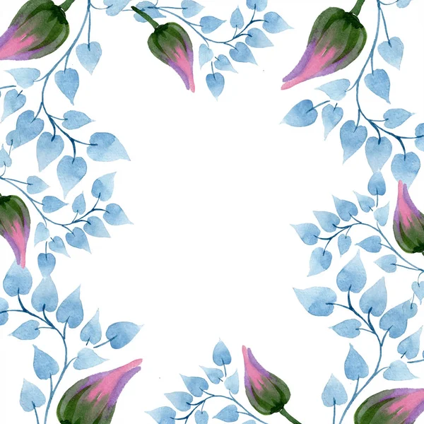 Ornament Floral Botanical Flower Wild Spring Leaf Wildflower Isolated Watercolor — Stock Photo, Image