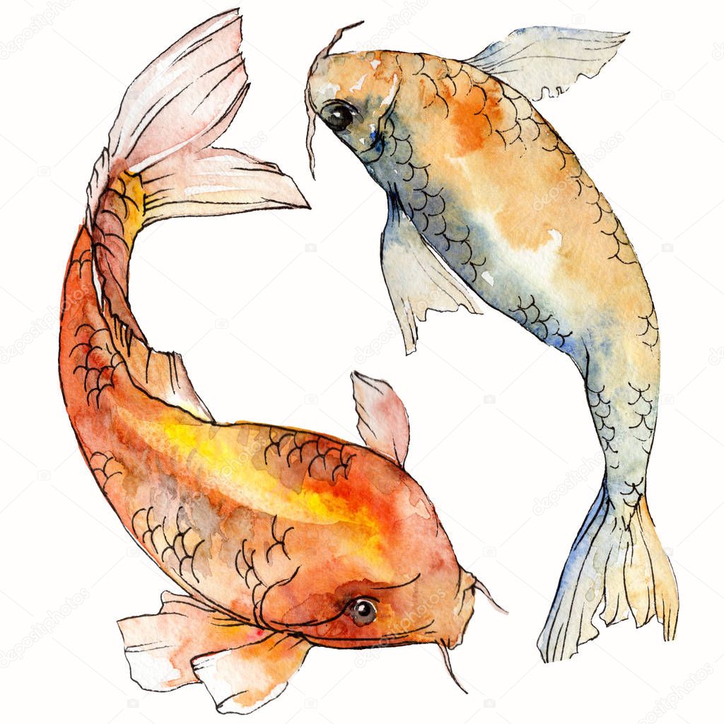 Watercolor aquatic underwater colorful tropical fish set. Red sea and exotic fishes inside: Goldfish Isolated.