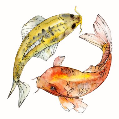 Suluboya su altı renkli tropikal balık seti. Kızıldeniz ve egzotik balıklar içinde: Goldfish İzole.