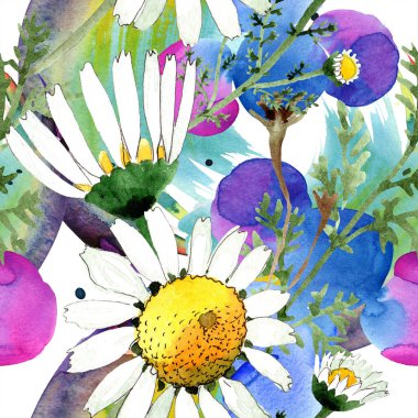 Papatya çiçek botanik çiçek. Vahşi bahar yaprağı izole edilmiş. Suluboya illüstrasyon seti. Suluboya çizim moda aquarelle. Kusursuz arka plan deseni. Kumaş duvar kağıdı baskı doku.