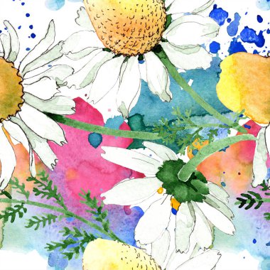 Papatya çiçek botanik çiçek. Vahşi bahar yaprağı izole edilmiş. Suluboya illüstrasyon seti. Suluboya çizim moda aquarelle. Kusursuz arka plan deseni. Kumaş duvar kağıdı baskı doku.